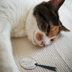 Bookmark : Arabesque S (silver) with cat